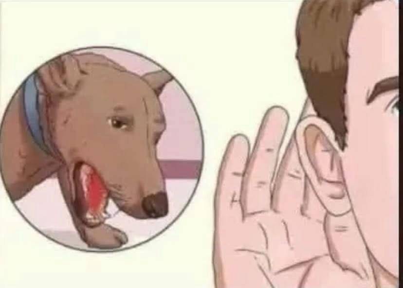 謝長璇